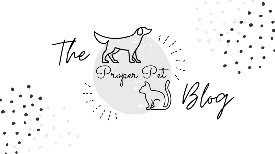 Welcome to The Proper Pet Blog! π€