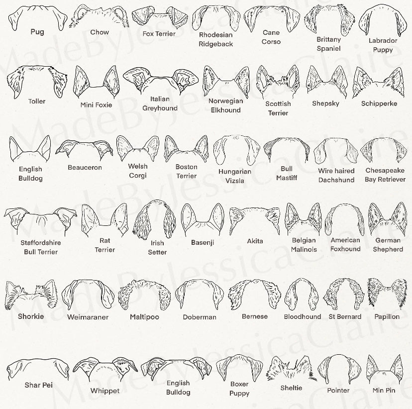 Dog Ear Stickers ๐ถ