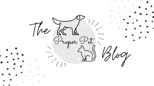 Welcome to The Proper Pet Blog! 🤍