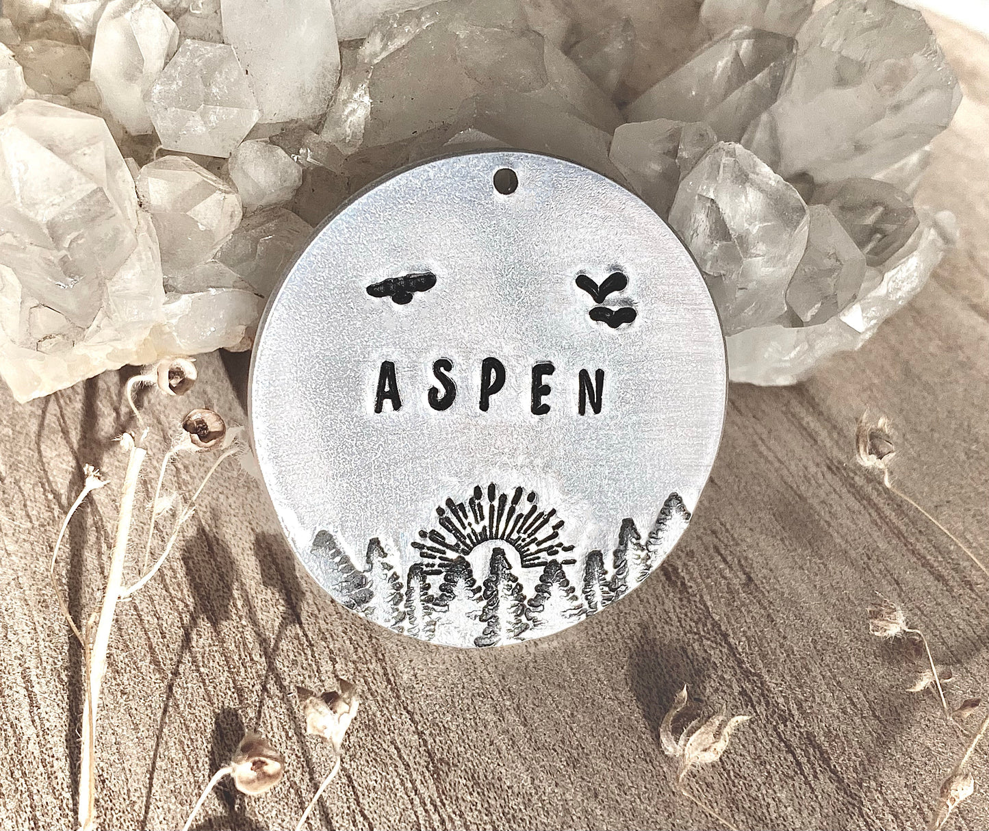 Outdoor Adventures🌲- “Pollock Pines” Classic Circle Tag