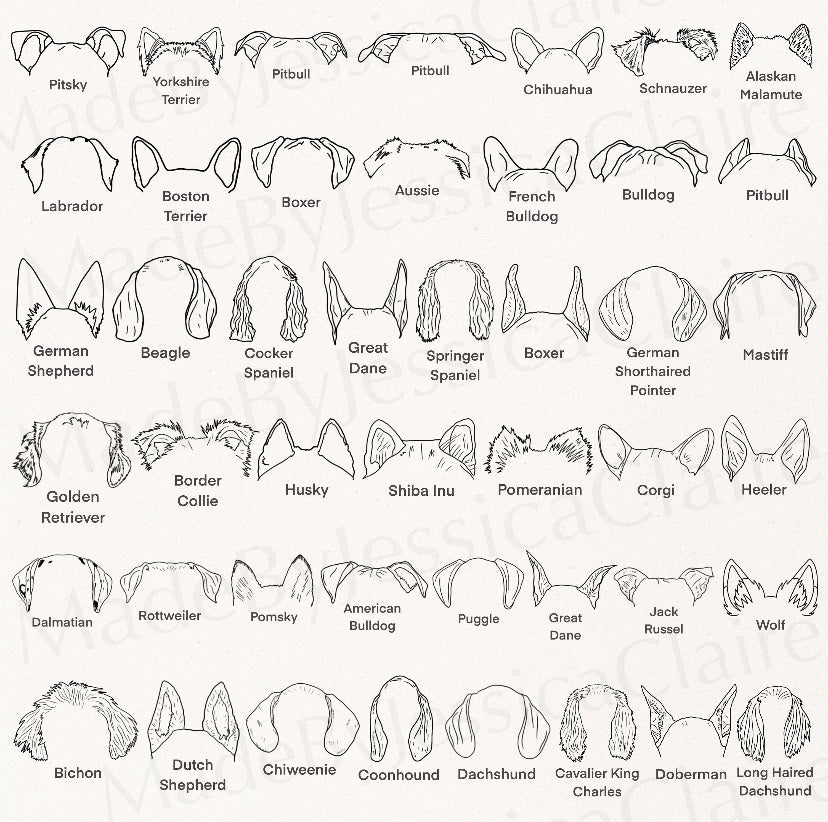 Dog Ear Stickers 🐶